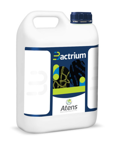 BACTRIUM / 5 LT. el lt.