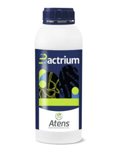 BACTRIUM / 1 LT.( caja 12 unidades)