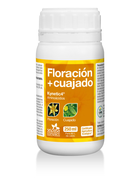 KYNETIC 4 250 CC (caja 20 unidades)
