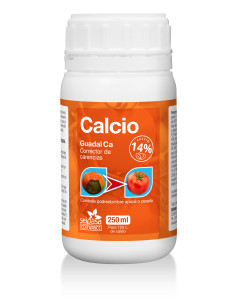 CALCIO GUADAL CA 250 ML (caja 20 un)