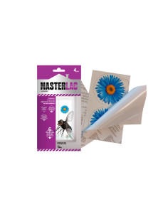 MASTERLAC ADHESIVO VENTANA 4 UNIDADES (caja de 12 unidades)