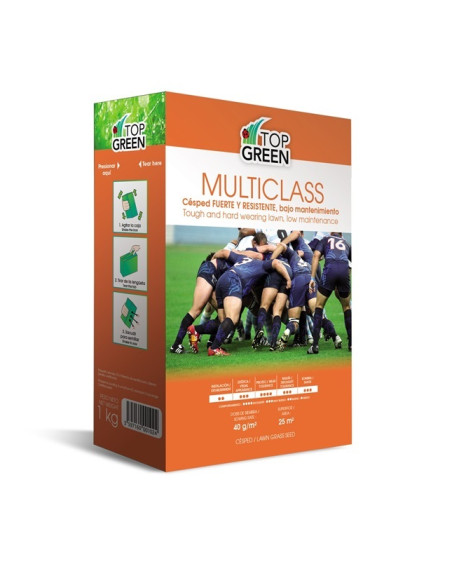 CESPED EUROSPORT MULTICLASS