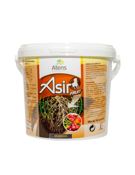 ASIR FRUIT / 300 PASTILLAS