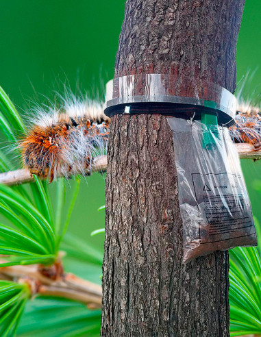 PROCEREX COLLAR COMPLETO