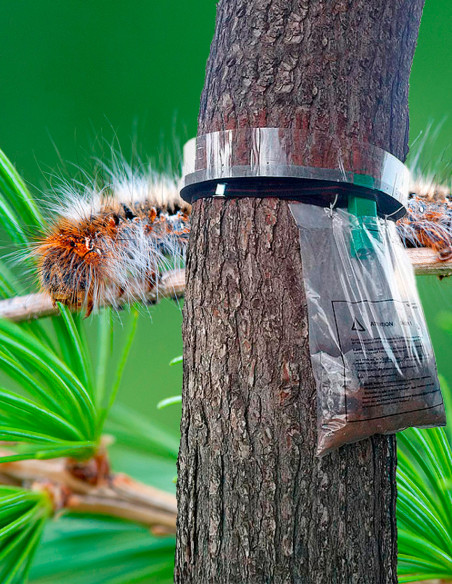 PROCEREX COLLAR COMPLETO