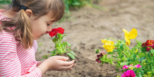 Protección natural del jardín familiar: cómo asesorar a tus clientes.